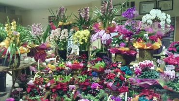 「フラワーショップおおき」　（福井県坂井市）の花屋店舗写真3